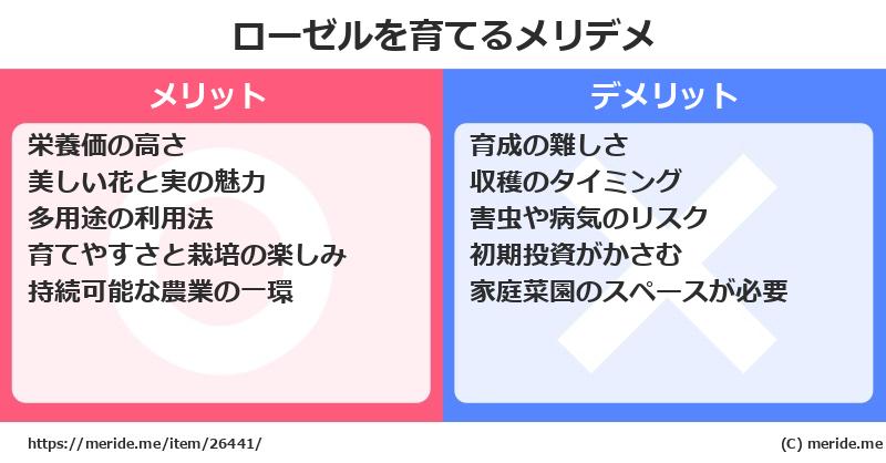 ローゼルを育てるメリットとデメリットは？ [栽培]  メリデメ