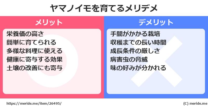 ヤマノイモを育てるメリットとデメリットは？ [栽培]  メリデメ