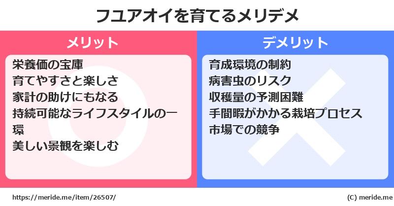 フユアオイを育てるメリットとデメリットは？ [栽培]  メリデメ