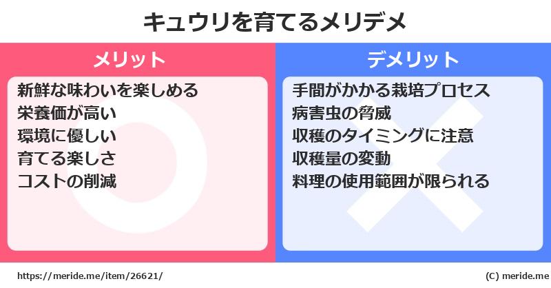 キュウリを育てるメリットとデメリットは？ [栽培]  メリデメ