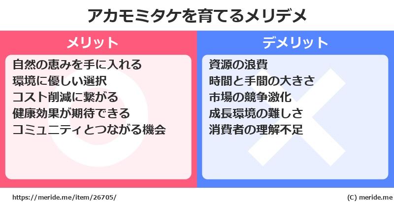 アカモミタケを育てるメリットとデメリットは？ [栽培]  メリデメ