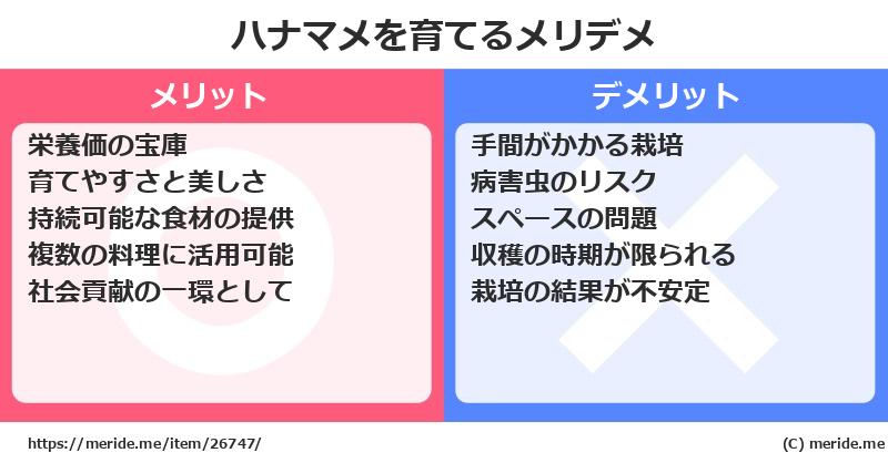 ハナマメを育てるメリットとデメリットは？ [栽培]  メリデメ
