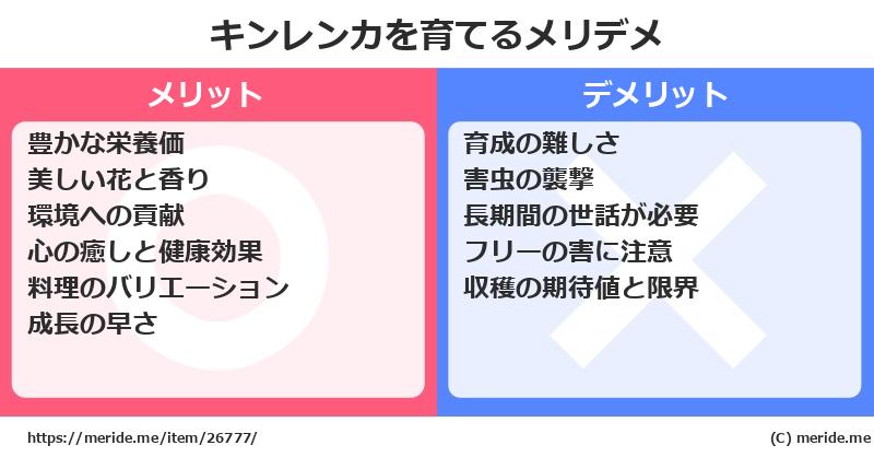 キンレンカを育てるメリットとデメリットは？ [栽培]  メリデメ