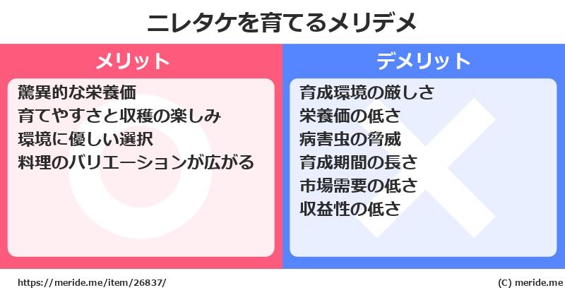 ニレタケを育てるメリットとデメリットは？ [栽培]  メリデメ