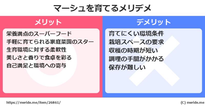 マーシュを育てるメリットとデメリットは？ [栽培]  メリデメ