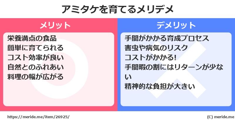 アミタケを育てるメリットとデメリットは？ [栽培]  メリデメ