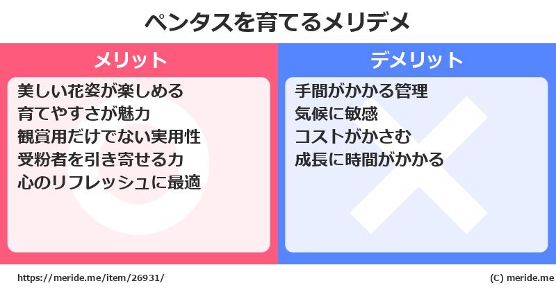 ペンタスを育てるメリットとデメリットは？ [栽培]  メリデメ