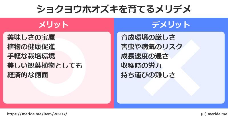 ショクヨウホオズキを育てるメリットとデメリットは？ [栽培]  メリデメ