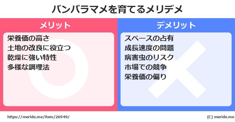 バンバラマメを育てるメリットとデメリットは？ [栽培]  メリデメ