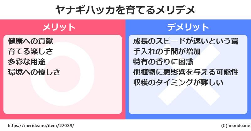 ヤナギハッカを育てるメリットとデメリットは？ [栽培]  メリデメ