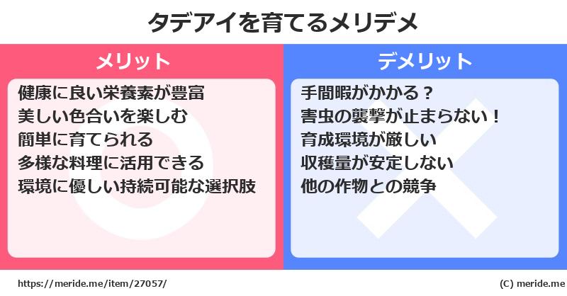 タデアイを育てるメリットとデメリットは？ [栽培]  メリデメ