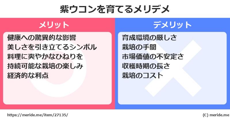 紫ウコンを育てるメリットとデメリットは？ [栽培]  メリデメ