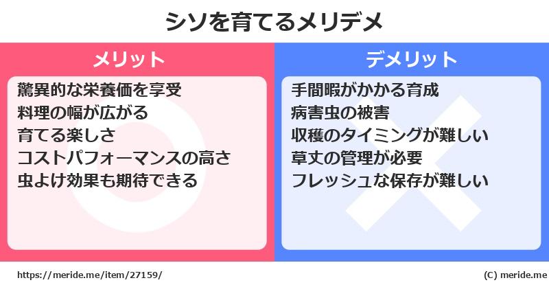 シソを育てるメリットとデメリットは？ [栽培]  メリデメ