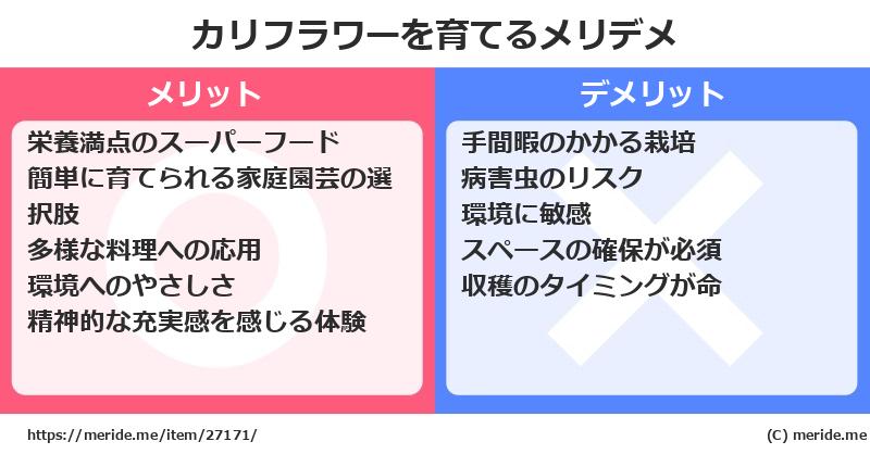 カリフラワーを育てるメリットとデメリットは？ [栽培]  メリデメ