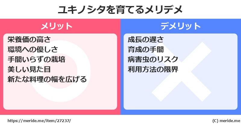 ユキノシタを育てるメリットとデメリットは？ [栽培]  メリデメ