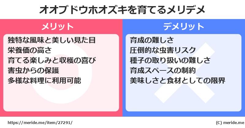 オオブドウホオズキを育てるメリットとデメリットは？ [栽培]  メリデメ