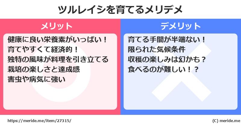 ツルレイシを育てるメリットとデメリットは？ [栽培]  メリデメ