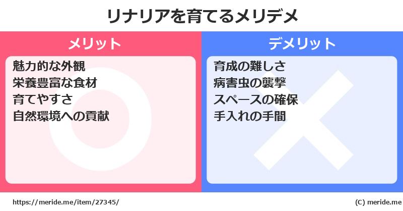 リナリアを育てるメリットとデメリットは？ [栽培]  メリデメ