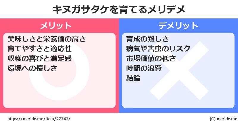 キヌガサタケを育てるメリットとデメリットは？ [栽培]  メリデメ