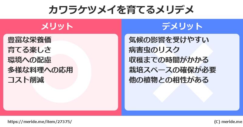 カワラケツメイを育てるメリットとデメリットは？ [栽培]  メリデメ