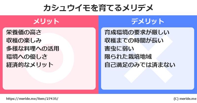 カシュウイモを育てるメリットとデメリットは？ [栽培]  メリデメ