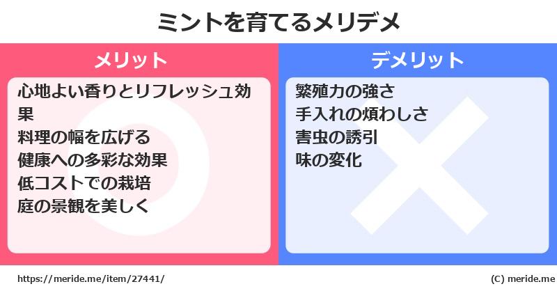 ミントを育てるメリットとデメリットは？ [栽培]  メリデメ