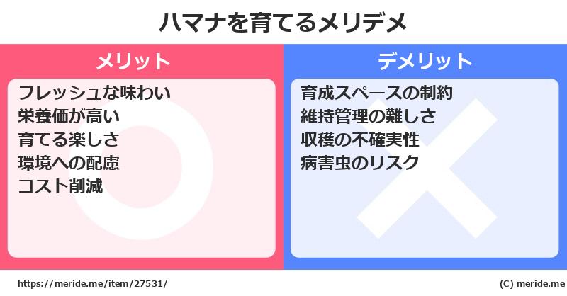 ハマナを育てるメリットとデメリットは？ [栽培]  メリデメ
