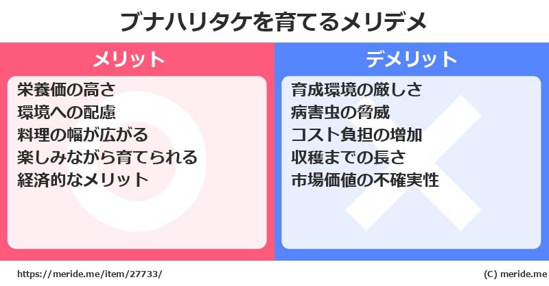 ブナハリタケを育てるメリットとデメリットは？ [栽培]  メリデメ