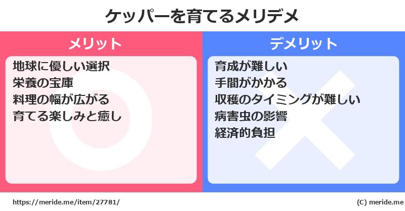 ケッパーを育てるメリットとデメリットは？ [栽培]  メリデメ