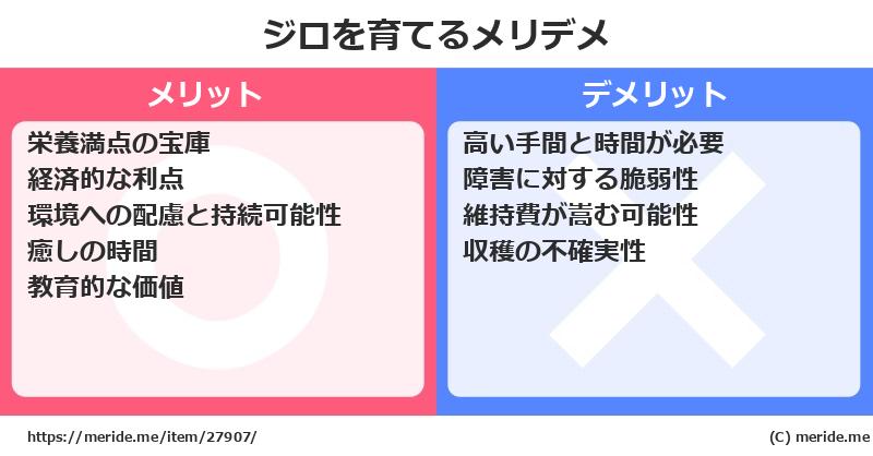 ジロを育てるメリットとデメリットは？ [栽培]  メリデメ