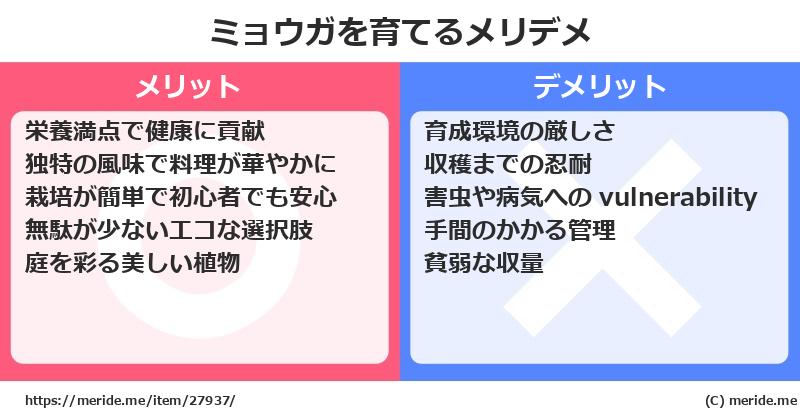 ミョウガを育てるメリットとデメリットは？ [栽培]  メリデメ