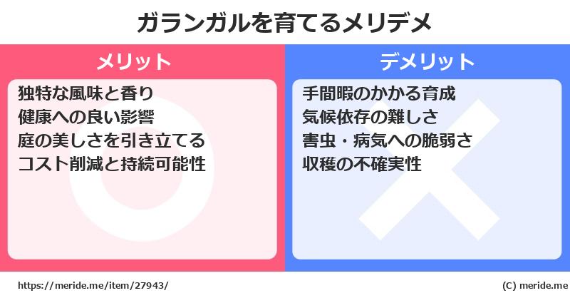 ガランガルを育てるメリットとデメリットは？ [栽培]  メリデメ