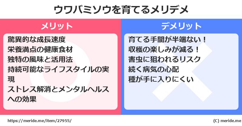 ウワバミソウを育てるメリットとデメリットは？ [栽培]  メリデメ