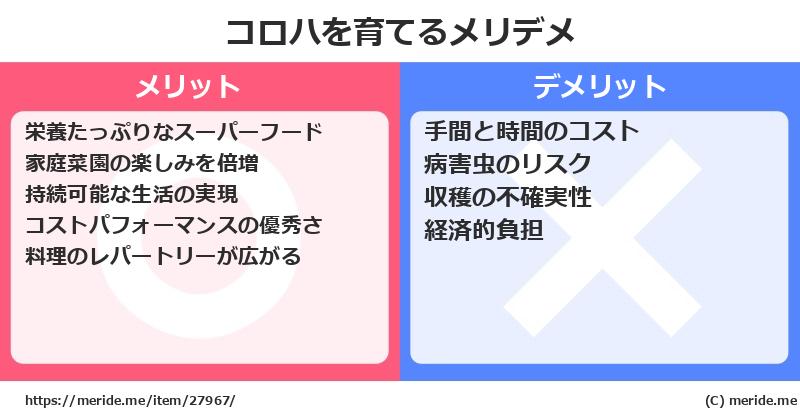 コロハを育てるメリットとデメリットは？ [栽培]  メリデメ