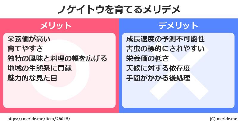 ノゲイトウを育てるメリットとデメリットは？ [栽培]  メリデメ