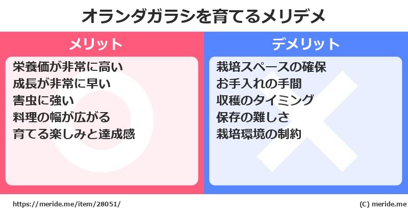 オランダガラシを育てるメリットとデメリットは？ [栽培]  メリデメ
