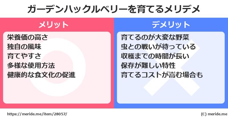 ガーデンハックルベリーを育てるメリットとデメリットは？ [栽培]  メリデメ