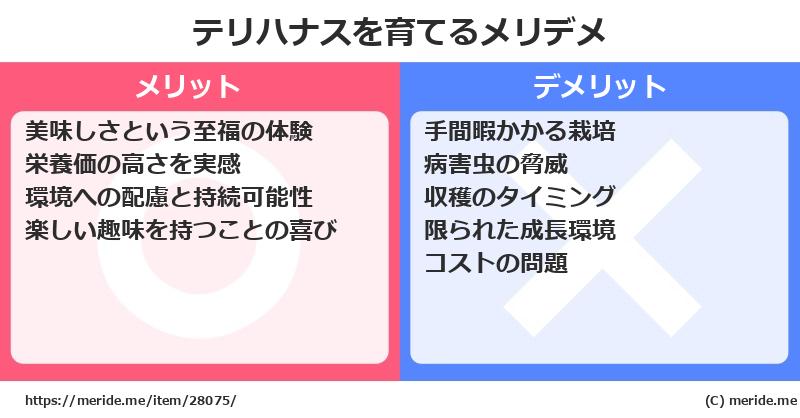 テリハナスを育てるメリットとデメリットは？ [栽培]  メリデメ