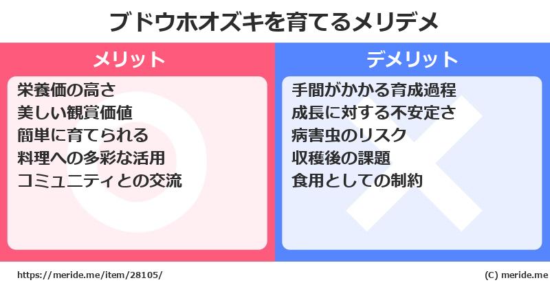 ブドウホオズキを育てるメリットとデメリットは？ [栽培]  メリデメ