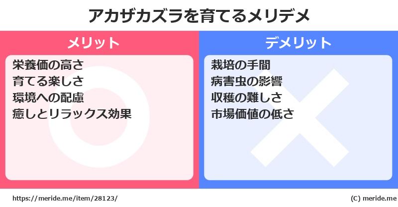 アカザカズラを育てるメリットとデメリットは？ [栽培]  メリデメ