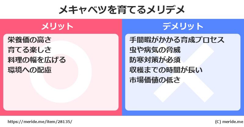 メキャベツを育てるメリットとデメリットは？ [栽培]  メリデメ