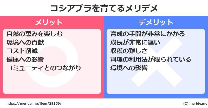 コシアブラを育てるメリットとデメリットは？ [栽培]  メリデメ