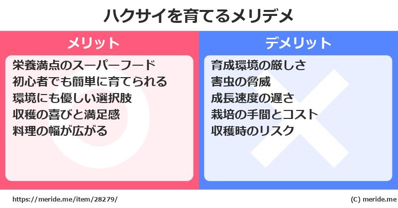 ハクサイを育てるメリットとデメリットは？ [栽培]  メリデメ