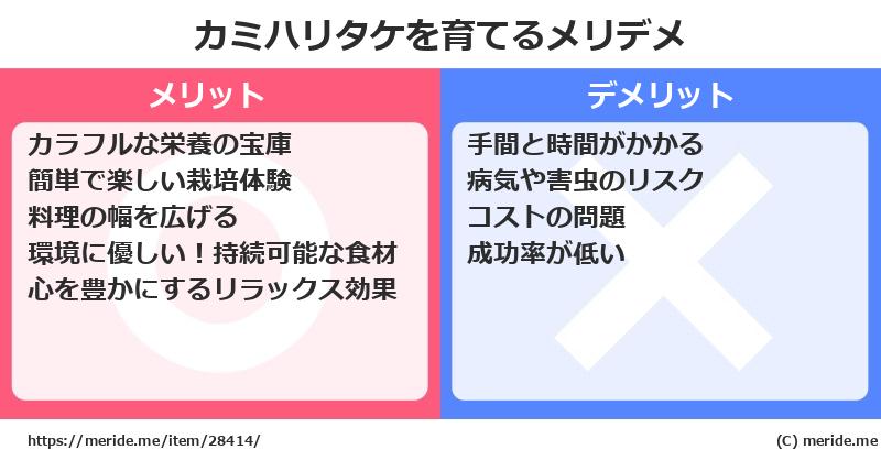 カミハリタケを育てるメリットとデメリットは？ [栽培]  メリデメ