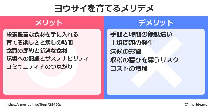 ヨウサイを育てるメリットとデメリットは？ [栽培]  メリデメ
