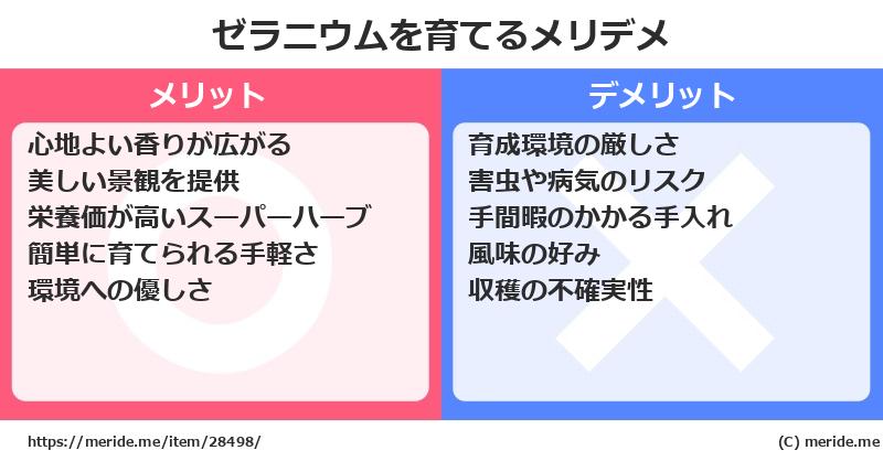 ゼラニウムを育てるメリットとデメリットは？ [栽培]  メリデメ