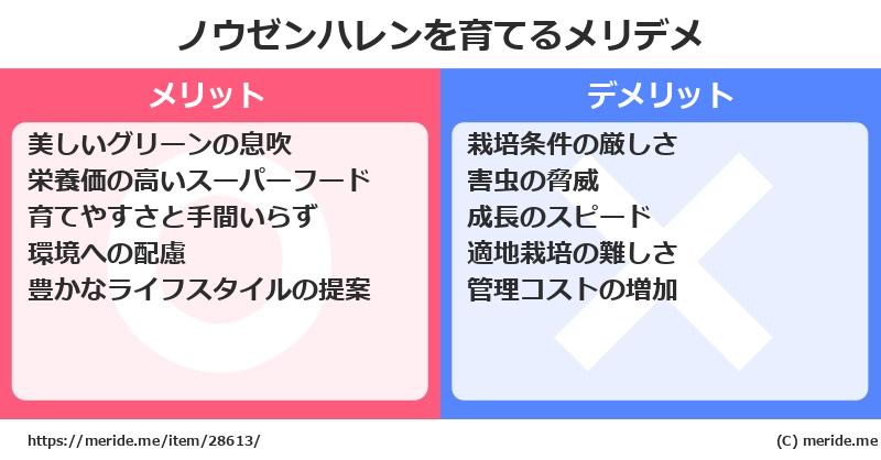 ノウゼンハレンを育てるメリットとデメリットは？ [栽培]  メリデメ