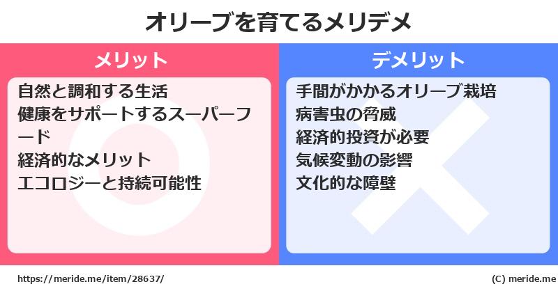 オリーブを育てるメリットとデメリットは？ [栽培]  メリデメ