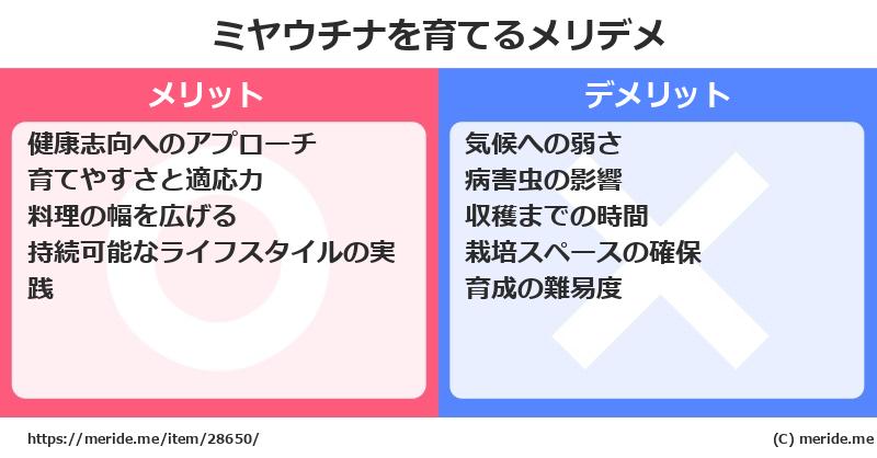 ミヤウチナを育てるメリットとデメリットは？ [栽培]  メリデメ