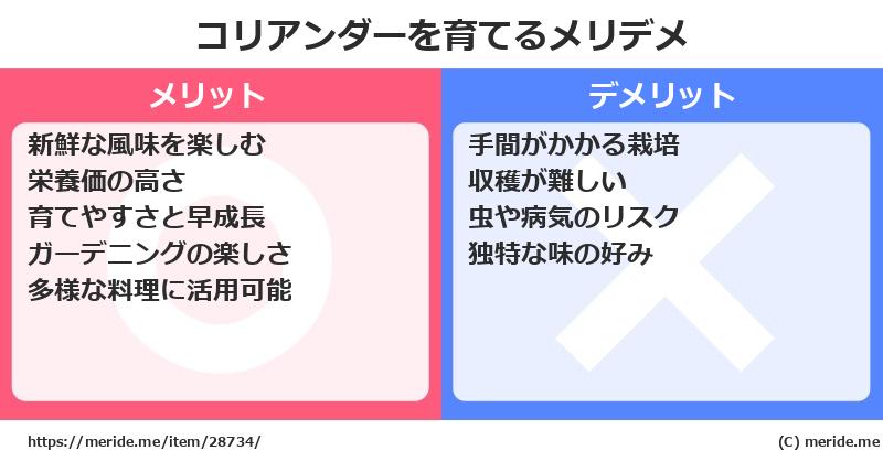 コリアンダーを育てるメリットとデメリットは？ [栽培]  メリデメ